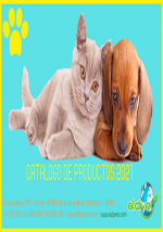 Catálogo Pets